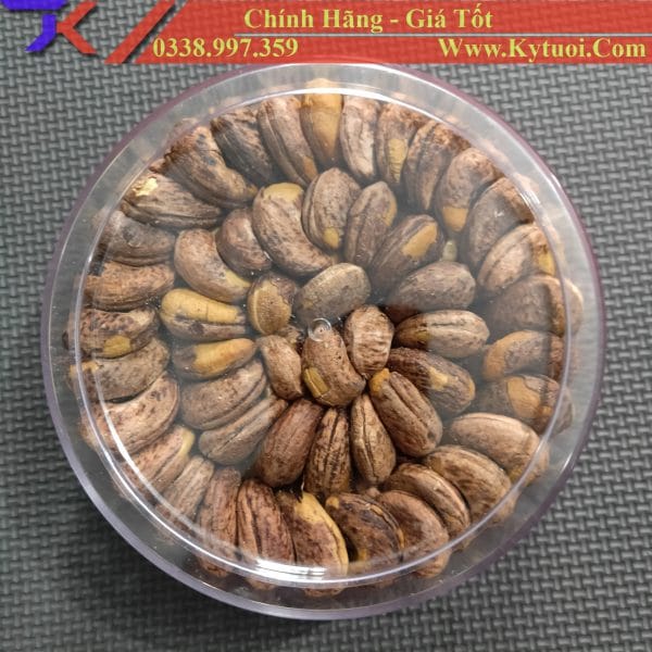 hạt điều rang muối hộp 400g, 500g 2 tốt nhất Tháng tư 2025