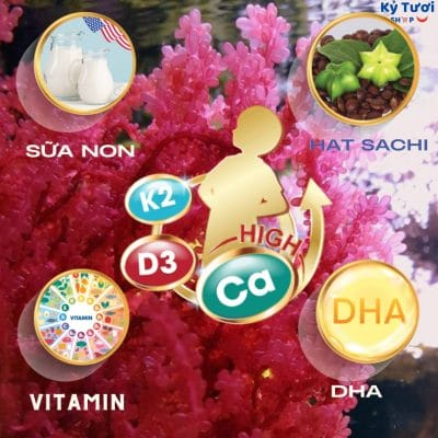 Sữa Hiup hộp 650g tăng chiều cao 2 tốt nhất Tháng sáu 2025